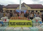 Luar Biasa Polres Madina Berhasil Menggagalkan Peredaran 570 Kg Daun Ganja Kering