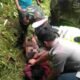 Mobil L 300 Nyungsep ke Jurang Lintas Sipirok - Tarutung Situmorang Tewas di Tempat