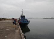 Bea Cukai Gabungan Amankan KM Tanpa Nama Bersama 79 Kotak Hewan Selundupan