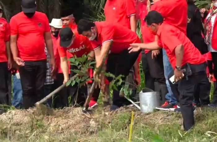 "Zahir pimpin Kader PDIP tanam pohon di Batu Bara"