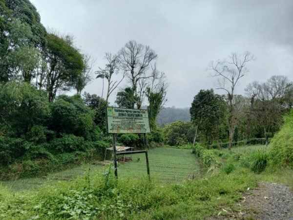 Puluhan Hektar Hutan Laugedang Dirambah, Baskami Instansi Terkait Akan ‘Dipanggil’