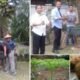 Perhiptani Sumut Dan Dewan UMKM Labura Akan Kembangkan Tanaman Porang