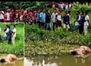 Seorang Pemancing Temukan Mayat Terlungkup Di Pinggir Sungai Sei Buluh Perbaungan
