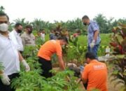 May4t Laki-Laki Ditemukan Warga Di Area Kebun Ubi Desa Gempolan Sei Bamban Sergai