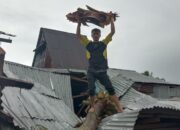 Hujan Angin Dua Rumah Warga Rusak Tertimpa Pohon Kelapa di Hilifalago, Onolalu