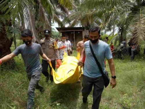 Geger Warga Desa KandanganTemukan Mayat MR X Mengambang di Sumur Areal Perkebunan Sawit