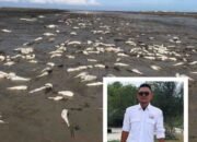 FPP Kuala Indah Minta Satreskrim Polres Batu Bara Serius Tangani Pencemaran Air Laut di Batu Bara, Cek Pengolahan Limbah Seluruh Perusahaan