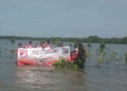Hari Kesaktian Pancasila, PSI Belawan Resmikan Sumur Bor Dan Tanam Mangrove