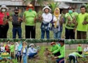 Laksanakan Amanah Bupati Sergai Ketua Kelompok Tani Holtikultura MANDIRI Dolok Masihul Memanen Bawang