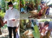 Azmi Sitorus :  Penyembelihan Hewan Kurban Wujud Kepedulian Sesama Umat Islam