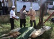 Kapolres Batu Bara Sembelih 10 Ekor Hewan Qurban