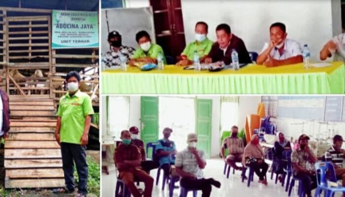 Kades Adolina Dan PD Serta Pengurus BUMDes Adakan Musyawarah Di Kantor Desa