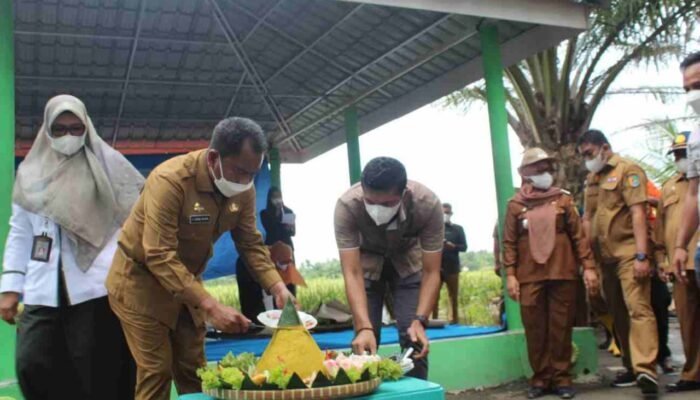 Bupati Sergai : ” Pembangunan Pertanian untuk Meningkatkan Kesejahteraan Kehidupan Petani” 