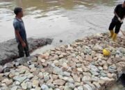 Di duga Pengerjaan Bronjong Sungai Alang Tahar Asal Jadi, Proyek Siluman Tidak Miliki Plang Proyek