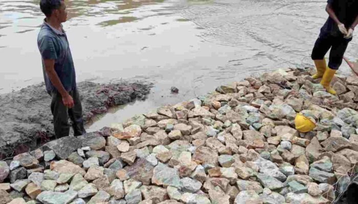 Di duga Pengerjaan Bronjong Sungai Alang Tahar Asal Jadi, Proyek Siluman Tidak Miliki Plang Proyek