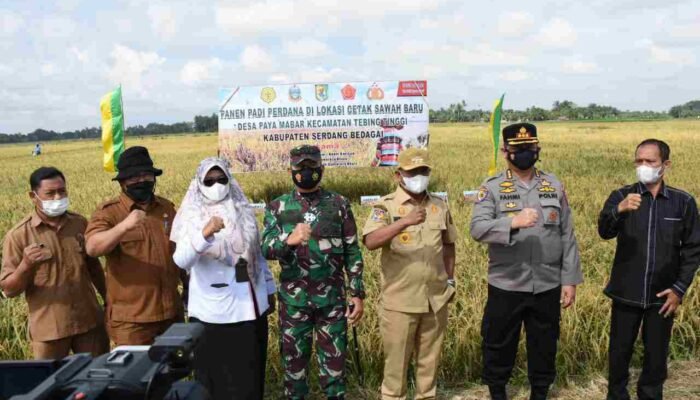 Serdang Bedagai Gelar Pamanen Perdana Program Cetak Sawah Lahan Baru