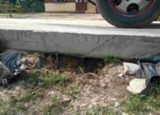 Wow…Ada Oknum Ngaku Pengurus PKB, Tawarkan 2 Jeti Terkait Pemberitaan Proyek PISEW