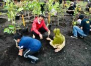 Presiden: Rehabilitasi Mangrove Akan Terus Kita Lakukan