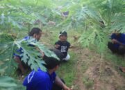 Ucok Baba Aktor Pemain Sinetron Kunjungi Lapas Cilegon, Hibur Para Napi