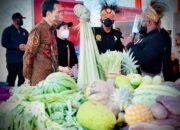 Presiden Ingin Papua Youth Creative Hub Jadi Pusat Pengembangan Talenta Papua