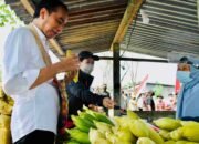 Saat Presiden Jokowi Mampir Beli Jagung di Penjual Pinggir Jalan