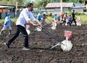 Presiden Jokowi: Tingkatkan Produktivitas Sektor Pertanian di Papua Barat