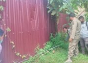 Sat Pol PP Tebing Tinggi Cek Lokasi Pengusaha Kayu Diduga Serobot Tanah Negara