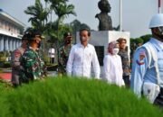 Kunjungan Kerja ke Bali, Presiden Akan Tinjau Penanaman Mangrove hingga Venue G20