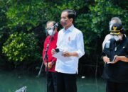 Pemerintah Akan Terus Replikasi Model Rehabilitasi Mangrove di Provinsi Lain