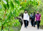 Presiden Tinjau Hutan Mangrove di Bali