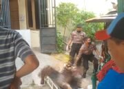 Geger Sesosok Mayat Pria Ditemukan Di Dalam Kos Kosan