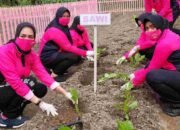 PC Bhayangkari Batu Bara, Kembali Hijaukan Taman Lestari, Tanam Sayur Mayur