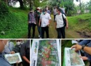 Sidang Perdata di Lapangan ,Gajah Nyasar Tunjukan Batas, Kucing Siap Untuk Merubing