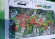 Sidang Perdata di Lapangan. Gajah Nyasar Tunjukan Batas, Kucing Siap Terkam “Kucing Versus Gajah”