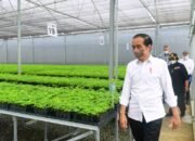 Tinjau Persemaian Rumpin, Presiden: Indonesia Serius Tangani Perubahan Iklim