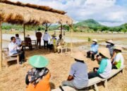 Petani Trenggalek Nantikan Kiprah Generasi Milenial