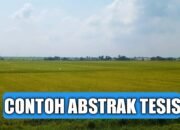 Contoh Abstrak Pada Tesis Analisis Pengaruh Manajemen Laba Terhadap Nilai Perusahaan Dengan Biaya Modal Sebagai Variabel Intervening