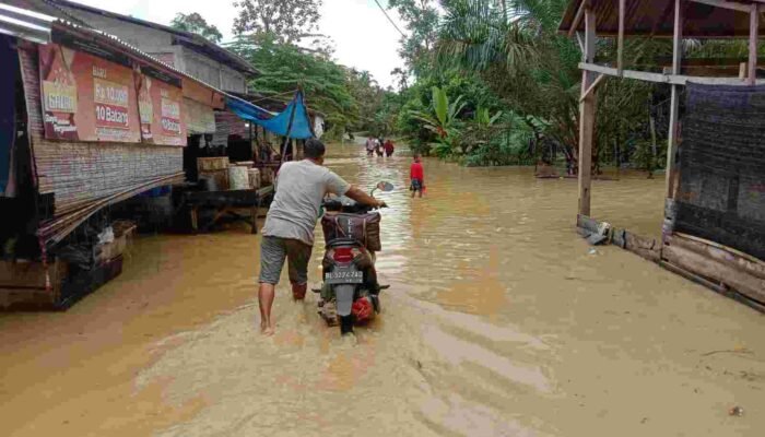 Aceh Timur Banjir, Inilah beberapa kawasan Yang Terendam Banjir…