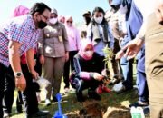 Ketua Dewan Rempah Indonesia Provinsi Sumut Apresiasi Penanaman 1.200 Pohon Andaliman di Karo