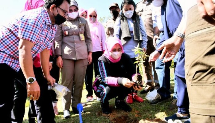 Ketua Dewan Rempah Indonesia Provinsi Sumut Apresiasi Penanaman 1.200 Pohon Andaliman di Karo
