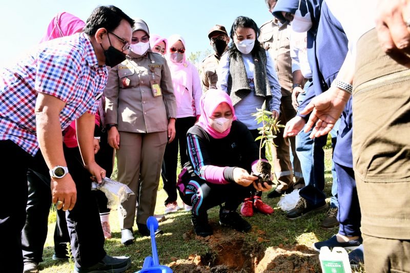Ketua Dewan Rempah Indonesia Provinsi Sumut Apresiasi Penanaman 1.200 Pohon Andaliman di Karo