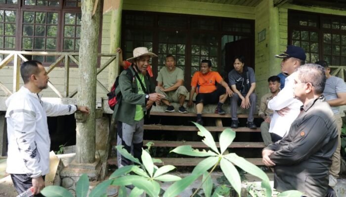 Musa Rajekshah Tinjau Lokasi Rehabilitasi dan Feeding Orang Utan di Bukit Lawang