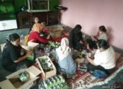 Ngamen Amal Tulungagung Raya Galang Dana Korban Semeru