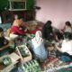 Ngamen Amal Tulungagung Raya Galang Dana Korban Semeru