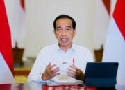 Ribuan Izin Usaha Tambang, Kehutanan, dan HGU Perkebunan Dicabut Pemerintah