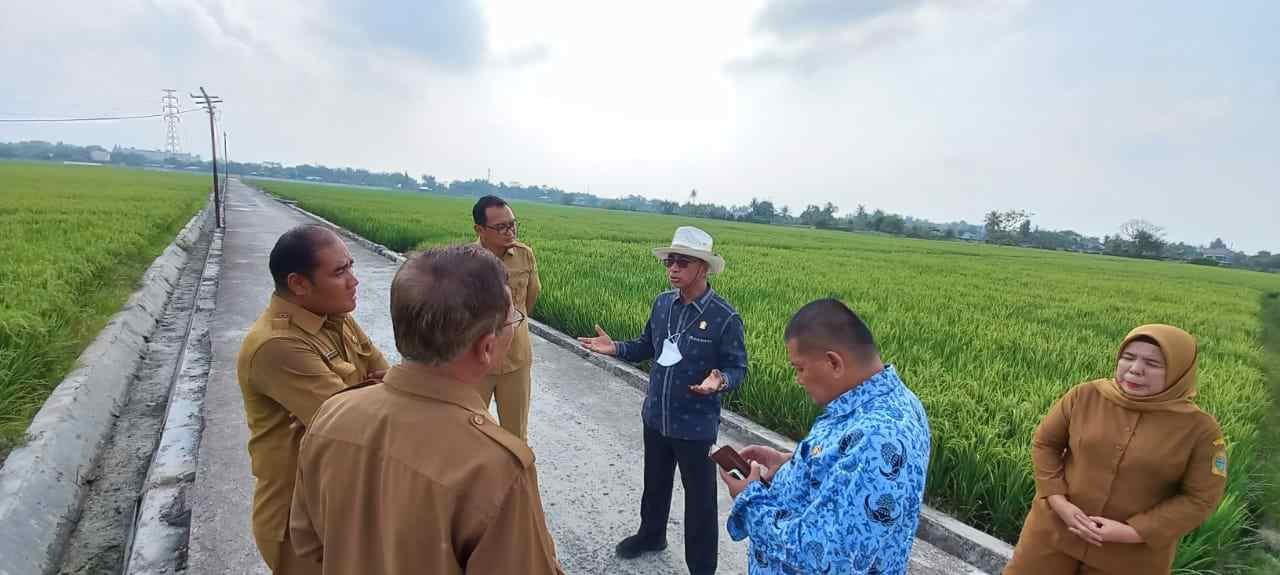Sekretaris DPRD Sumut Ahmad Hadian saat meninjau lapangan areal persawahan BIBP Tanjungmorawa didampingi Kadis Tanaman Pangan Hortikultura Provsu dan Kepala UPT BIBP Tanjungmorawa. (foto/ist)