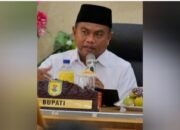 Darma Wijaya Bupati Terpopuler 2021 Se Indonesia Versi Indonesia Indicator