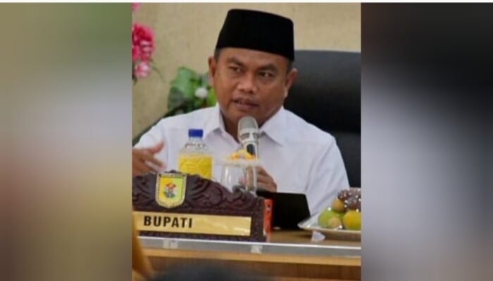 Darma Wijaya Bupati Terpopuler 2021 Se Indonesia Versi Indonesia Indicator