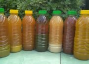 Khasiat Jamu Tradisional Mampu Tingkatkan Daya Tahan Tubuh
