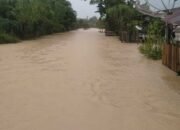 FPRM Langsa Kecam PTPN-I Tak Bantu Korban Banjir ‘Segenggam Beraspun’